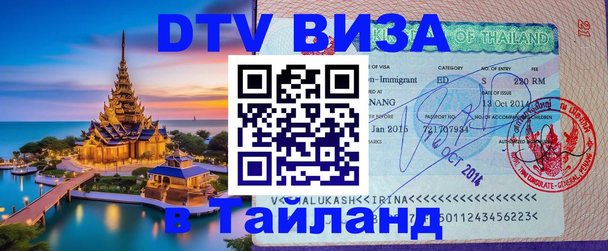 Сколько стоит DTV виза — актуальные цены, оформление даже без документов - Душанбе  21.11.2025 